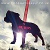 Personalised Dog Breed Decorations